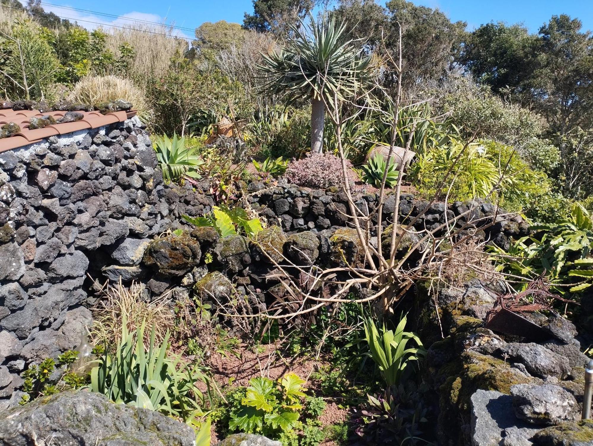 Lobo Do Mar Villa Calheta de Nesquim Bagian luar foto