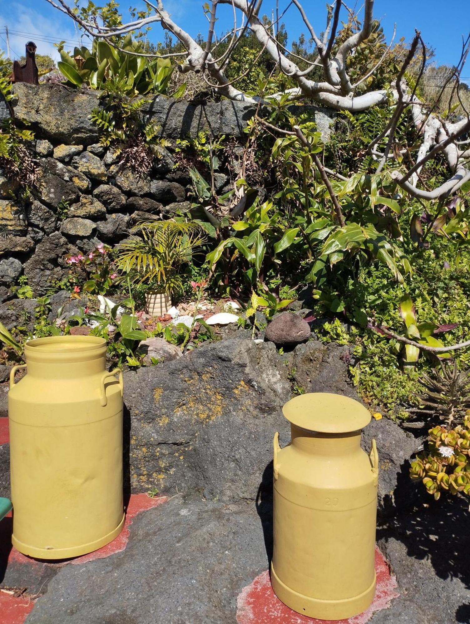 Lobo Do Mar Villa Calheta de Nesquim Bagian luar foto